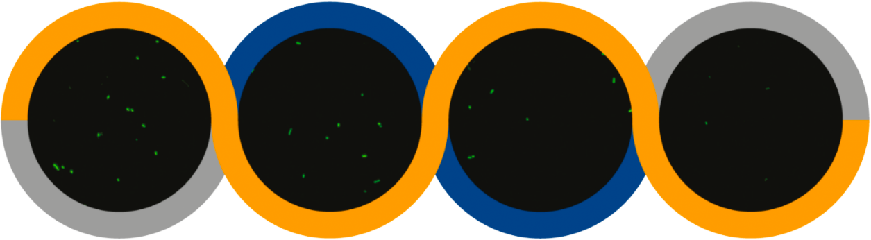 99贵宾会·(中国区)有限公司官网