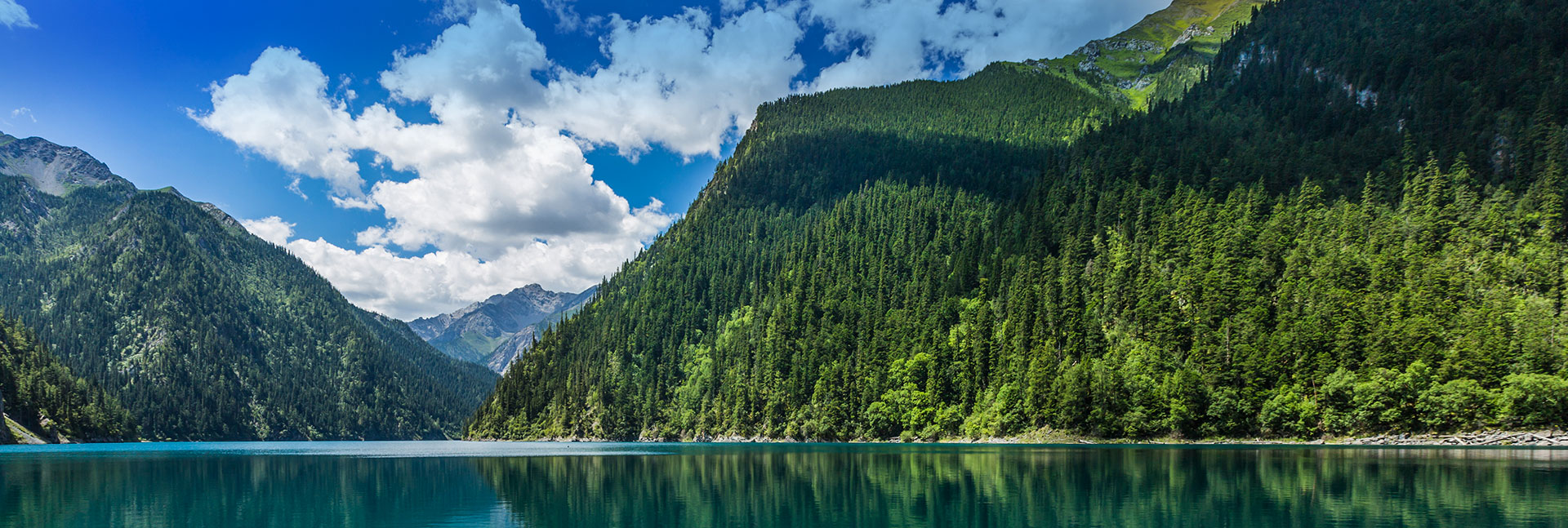 99贵宾会·(中国区)有限公司官网