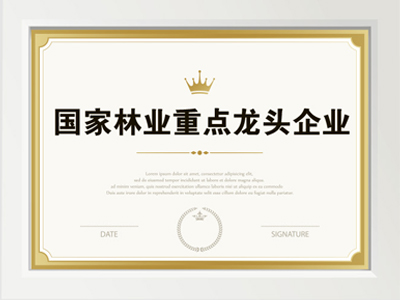 99贵宾会·(中国区)有限公司官网